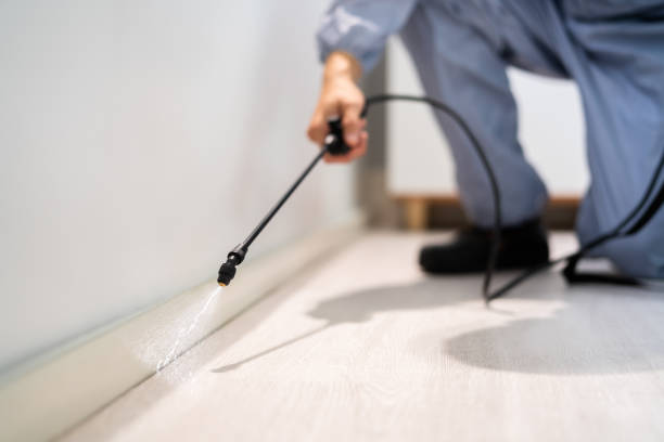 Bed Bug Pre-Treatment Preparation Assessment in Fort Rucker
