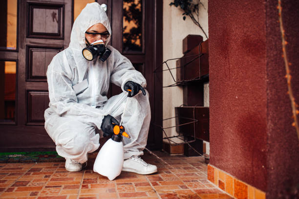 Multi-Unit and Airbnb Bed Bug Protocol in Fort Rucker