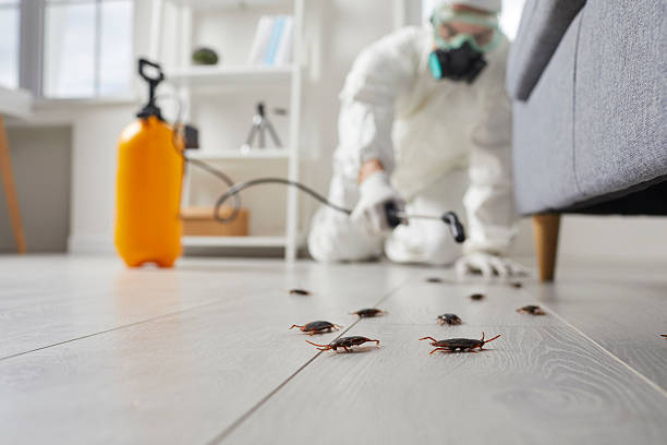 Post-Treatment Bed Bug Interceptor Monitoring in Fort Rucker