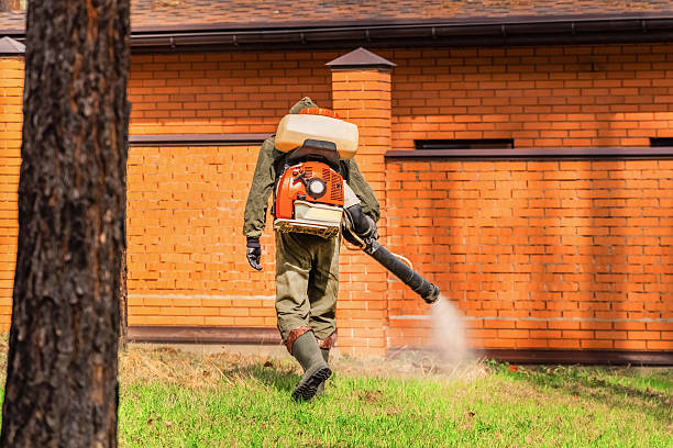 Bed Bug Clearance Verification and Documentation in Fort Rucker